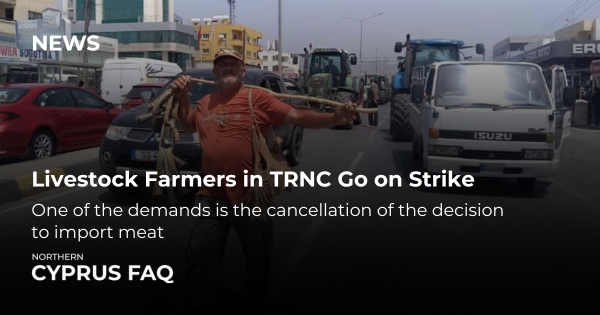 Livestock Farmers in TRNC Go on Strike