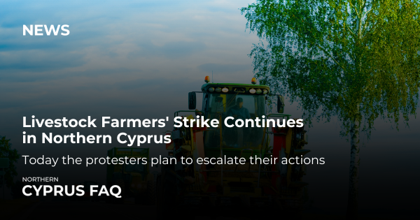 Livestock Farmers' Strike Continues in Northern Cyprus