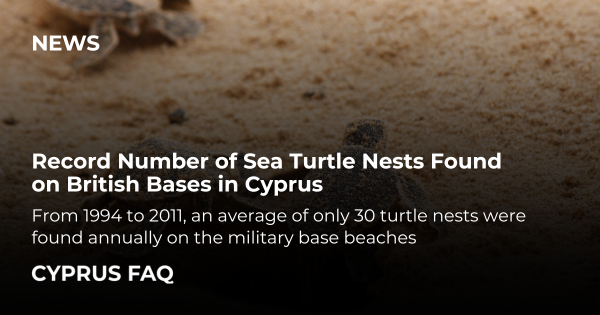 Record Number of Sea Turtle Nests Found on British Bases in Cyprus