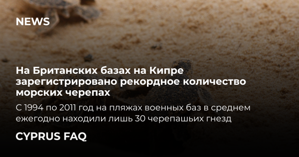 На Британских базах на Кипре зарегистрировано рекордное количество морских черепах