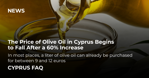 The Price of Olive Oil in Cyprus Begins to Fall After a 60% Increase