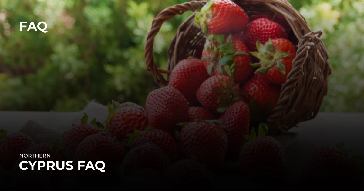 Where to go for fresh strawberry in Northern Cyprus?