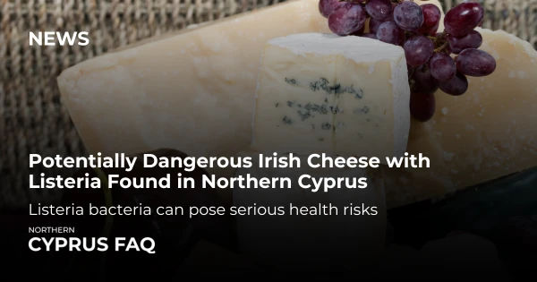 Potentially Dangerous Irish Cheese with Listeria Found in Northern Cyprus