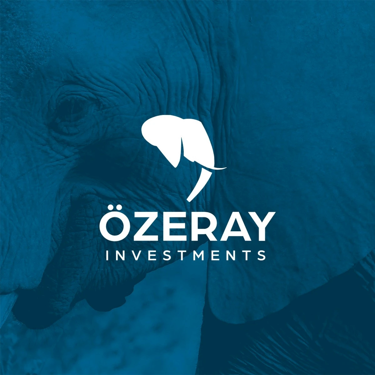 Özeray Investments