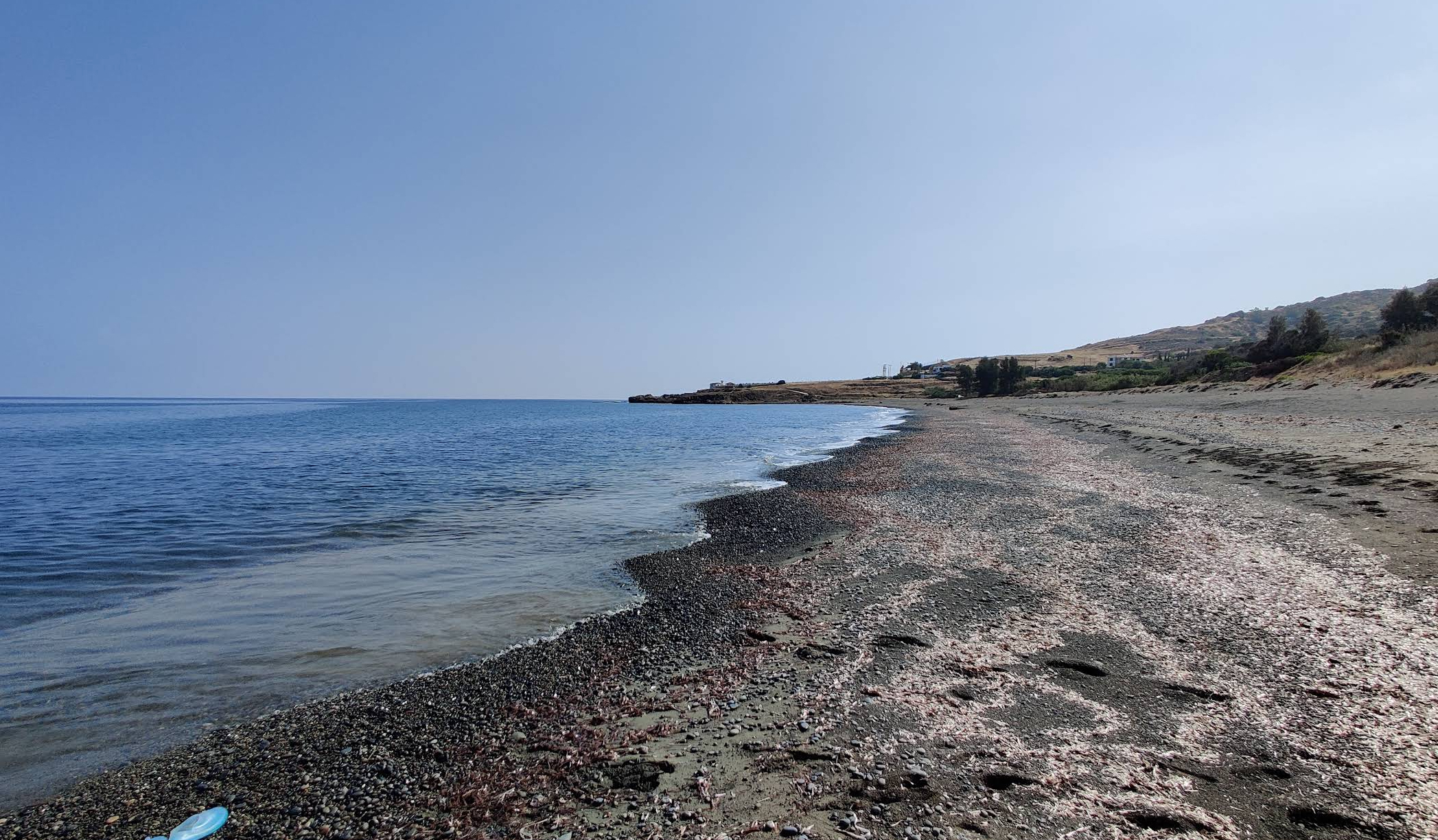 Pachyammos Beach