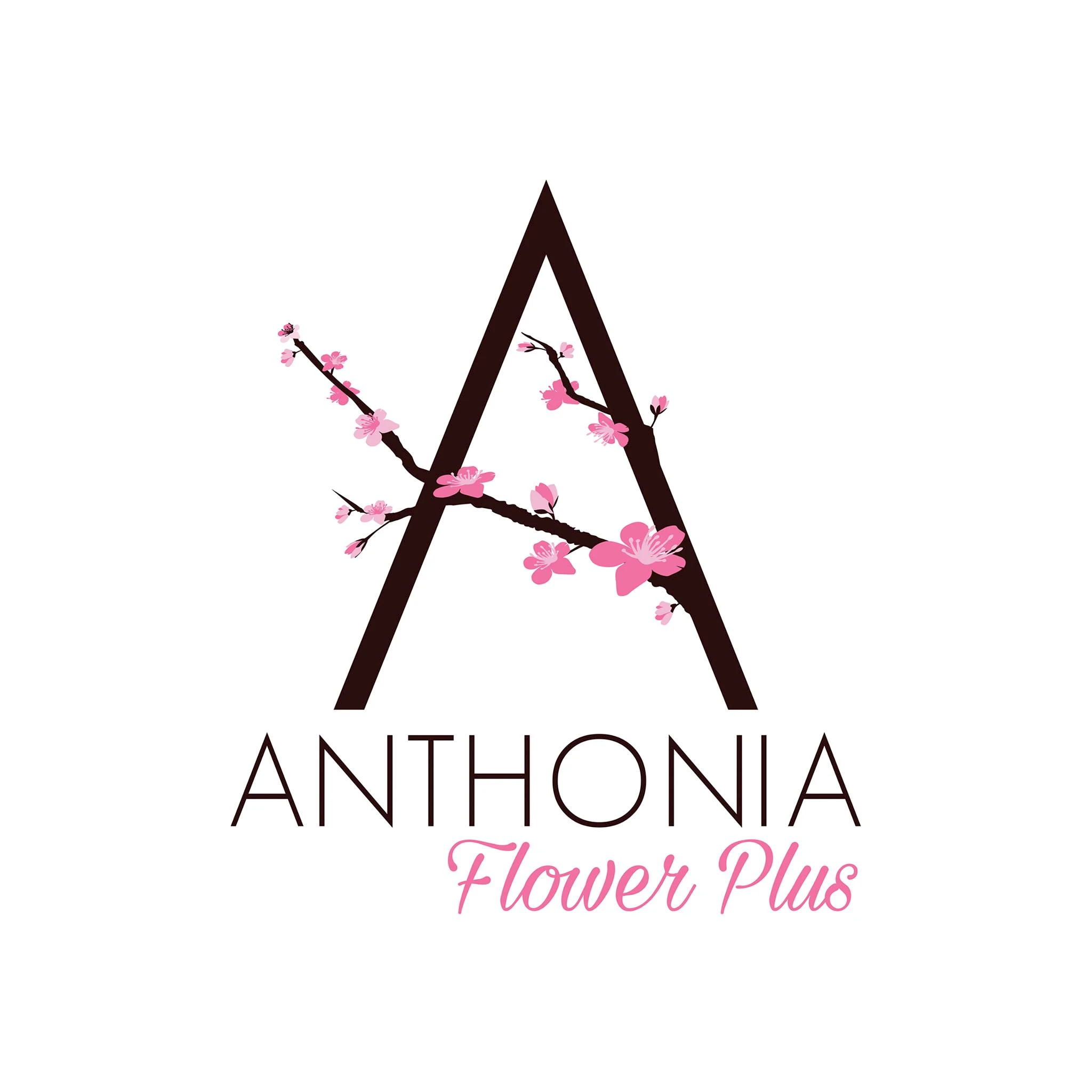Anthonia Flower Plus