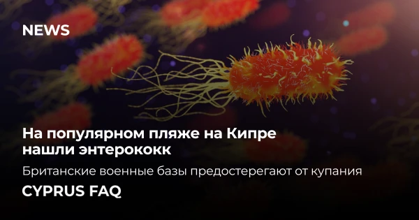 На популярном пляже на Кипре нашли энтерококк