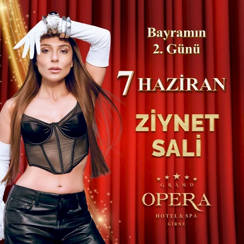 ZIYNET SALI