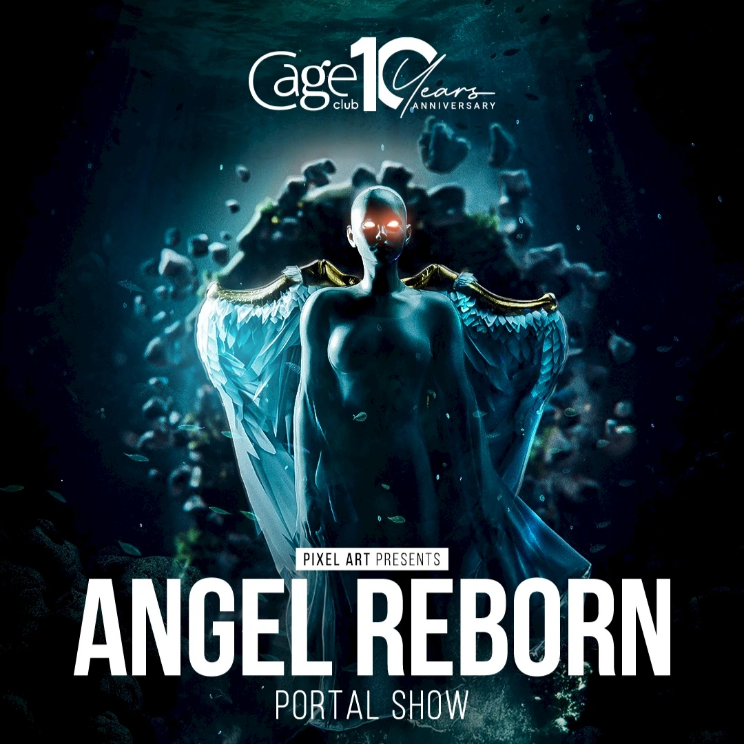 PORTAL:SHOW ANGEL IN THE DARK