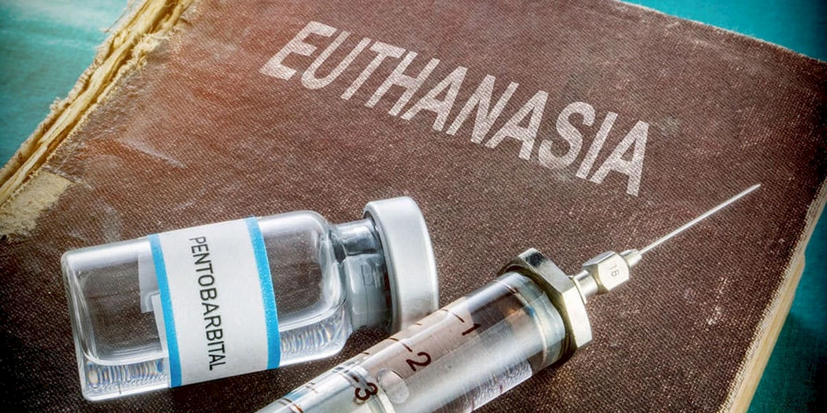 Projekt ustawy o eutanazji będzie rozpatrywany artykuł po artykule we wrześniu