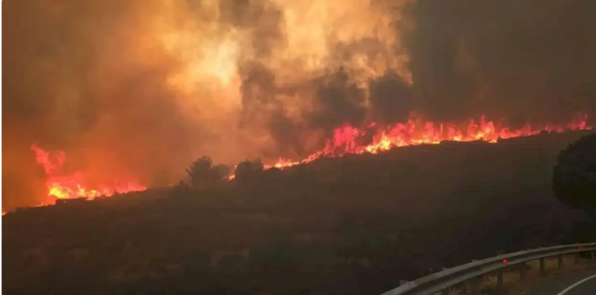 Mann in Troodos wegen Verdachts auf vorsätzliche Waldbrandstiftung festgenommen