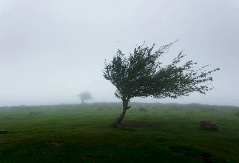 Meteo dienests izdevis brīdinājumu par stipriem vējiem un siltuma palielināšanos Kiprā