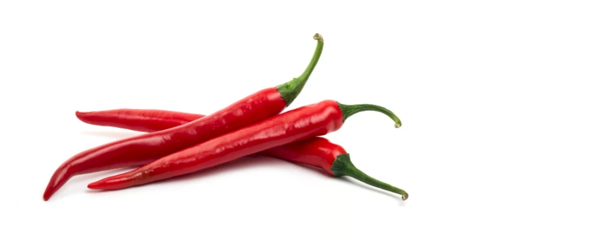 Chilli Festival 2025