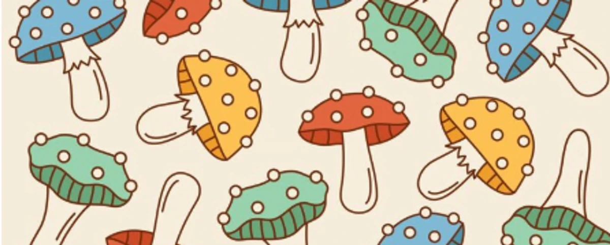 Cyprus Mushroom Festival