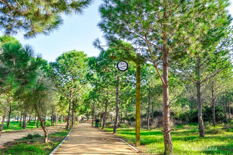 Ξεκίνησαν οι εργασίες δημιουργίας γραμμικού πάρκου κατά μήκος του Kanlıdere στη Λευκωσία (Λευκόσια)