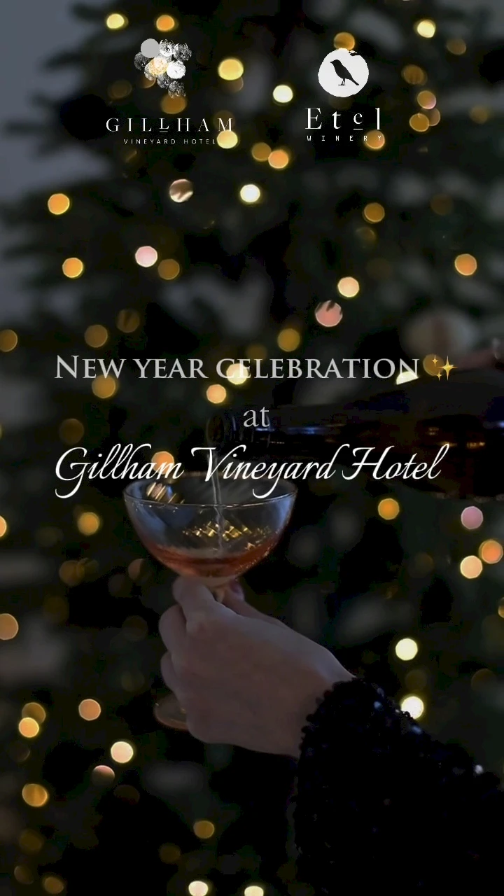 Новый 2026 год в отеле Gillham Vineyard
