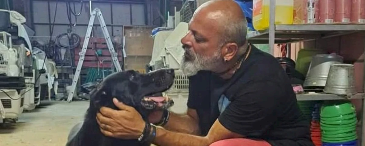 Волонтерство в приюте для собак