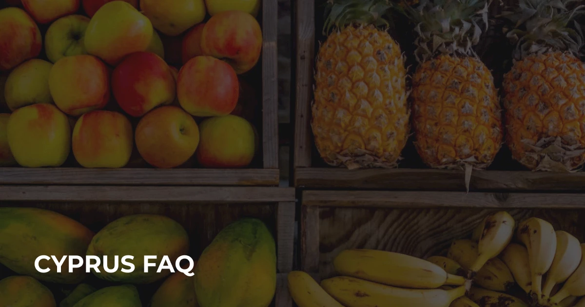 Минимальная зарплата в Республике Кипр