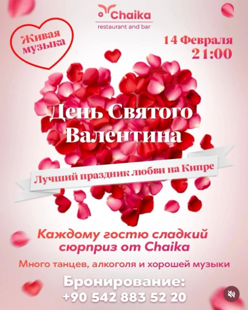 Valentīna diena Chaika