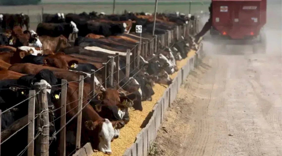 Кипр направит €1,15 млн на сокращение выбросов в животноводстве