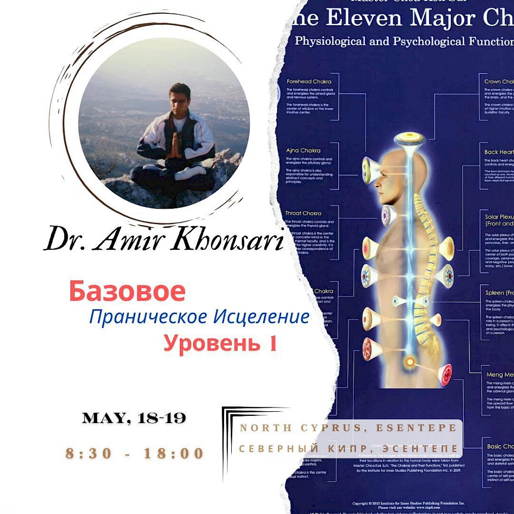 Dr. Amir Khonsari - Grundlegende Prana-Heilung