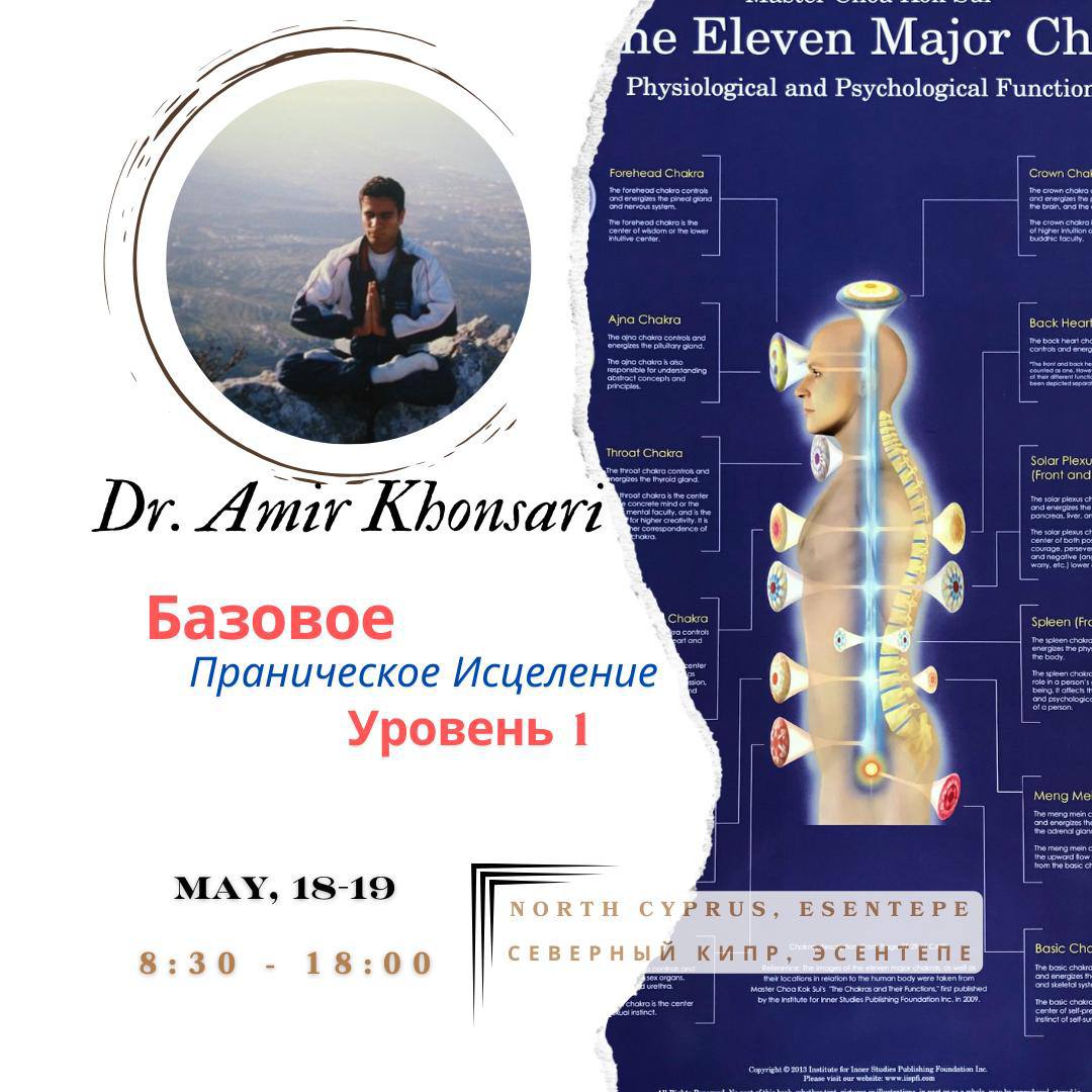 Dr. Amir Khonsari - Базовое праническое исцеление