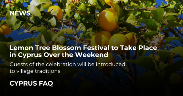 Lemon Tree Blossom Festival to Take Place in Cyprus Over the Weekend