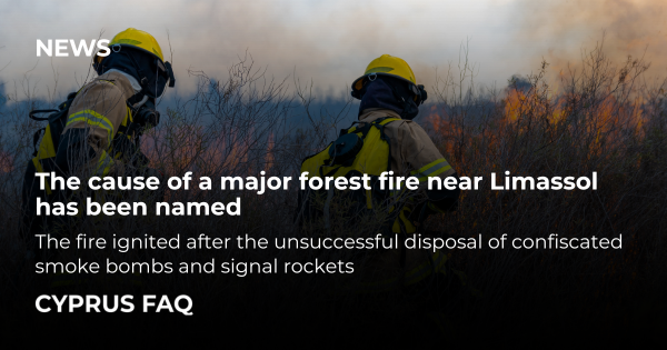 The cause of a major forest fire near Limassol has been named