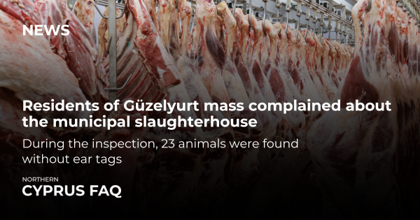 Residents of Güzelyurt mass complained about the municipal slaughterhouse.
