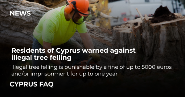 Residents of Cyprus warned against illegal tree felling