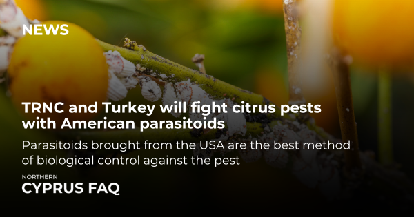 TRNC and Turkey will fight citrus pests with American parasitoids