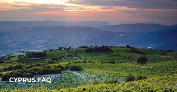 Полис и Лачи: море, деревни, Акамас и винодельни северо-запада Республики Кипр