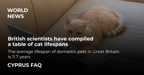 British scientists have compiled a table of cat lifespans