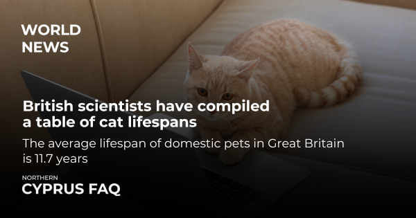 British scientists have compiled a table of cat lifespans